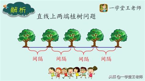 種樹間距|小學數學植樹問題